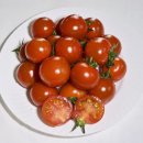 이정순농장 이미지