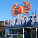 대게나라 이미지