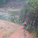 버드리농장 이미지