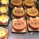 수원-0066 이미지