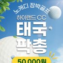 일성여행사 이미지