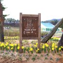 2025 회룡포 봄꽃축제 이미지