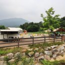 파주쇠꼴마을고고캠핑장 이미지