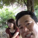 약목중학교 이미지