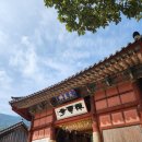 고창군 나들이~산넘어그곳 장어구이,선운사,고창읍성,상하농원 파머스빌리지