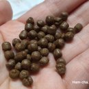 태오름한의원 이미지