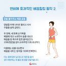 배꼽