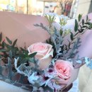 오신정 | [둔산동 꽃집 추천] 오신정 플라워샵_내돈내산(영수증 인증) 방문후기