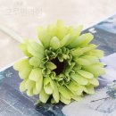 피어나 - 서귀포시 동홍동로 37 | 피어나