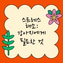 라파엘동물병원 | 물어뜯기 왕 강아지의 비밀 연수구동물병원