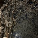 도시N공인중개사사무소 이미지