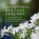 요한계시록 18장 타이타닉호의 오만, 현대 바벨론의 교만 이미지