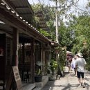 작은나무예술가(소품분재) | 치앙라이 여행 코스 추천 | 반캉왓 예술가 마을, Lamour cafe, 왓 우몽 동굴 사원