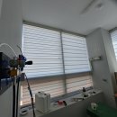다온치과기공소 Daum카페