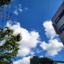 황궁쟁반짜장 봉동점 이미지