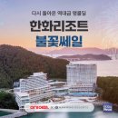 한화리조트 베이비뉴스