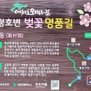 남해오네뜨2차 서편 버스정류장 | [5.백골산성낭만길] 백골산 산길을 빼고 싶었던 5구간 후기