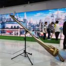 브룸(BROOM) 이미지