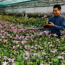 송암리 농장 이미지