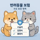 애니펫동물병원 이미지