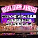 베스트 인 쇼 | 발리 따만 사파리 공연 시간 Tip, 엘리펀트쇼 스토리와 아궁쇼 &amp; 워터플레이존에서 수영까지!