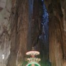 엄사약국 이미지