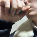 퍼피스토리 | 금연 성공 퍼피 비타제로 대용량 액상형 전자담배 후기