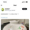 12월의알로하 이미지