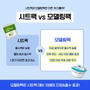 그린원라이프 | 다이소, 올리브영 모델링팩 1위 '린제이 모델링팩' 뷰티에디터 3인이 리얼 효과 리뷰