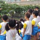 안산시티투어(대부권) 이미지