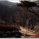 가평유스호스텔 이미지