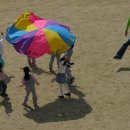 하나둘셋유치원 이미지