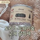 토리스토리 | 삶의 질 상승한 역대급 탈취력 토리 노르웨이숲 탈취제 사용후기