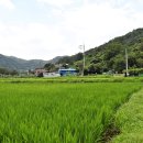 이현동1 이미지