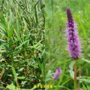 수연목장 이미지