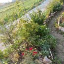 야생초농원 이미지