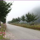 꽃피는언덕 이미지