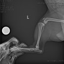 부산 리브동물의료센터 이미지