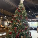 제이광고 | 산남동 프리미엄뷔페 데이트 연말연시 모임장소 송년회 신년회추천 트리제이 더 테라스 후기 (내돈내산)