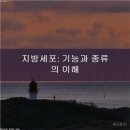 학아재의원 네이버블로그