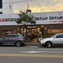 포항시남구64 | [포항 효자 맛집] 단체 회식하기 좋은 포항 효자동 고기집 &#39;돼지야 돼지야&#39;