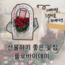 플로바이데이 | 어진동 꽃집 || 어버이날 카네이션 화분 ❝플로바이데이❞
