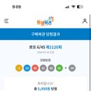 담쟁이집