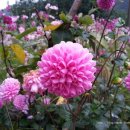 한뫼마루 이미지