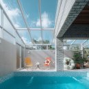 금등첨화 이미지