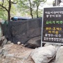 숲속의 하루 이미지