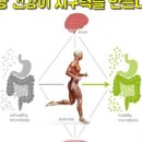 신정로 301번길 이미지