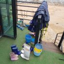 쏠플레오 이미지