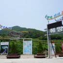 헤밍웨이가든 이미지