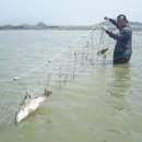 산들바다펜션 이미지